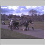 Davy Duncan's horse and carriage (2004).jpg